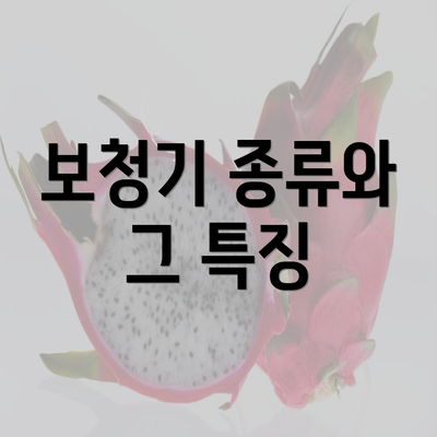 보청기 종류와 그 특징