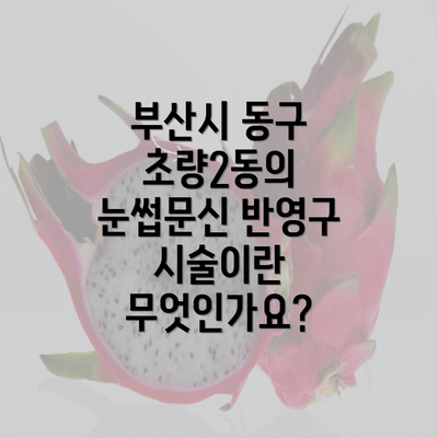 부산시 동구 초량2동의 눈썹문신 반영구 시술이란 무엇인가요?