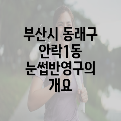 부산시 동래구 안락1동 눈썹반영구의 개요