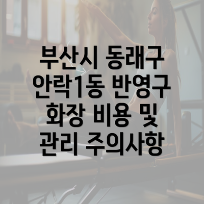 부산시 동래구 안락1동 반영구 화장 비용 및 관리 주의사항