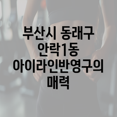 부산시 동래구 안락1동 아이라인반영구의 매력