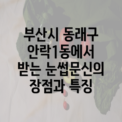 부산시 동래구 안락1동에서 받는 눈썹문신의 장점과 특징