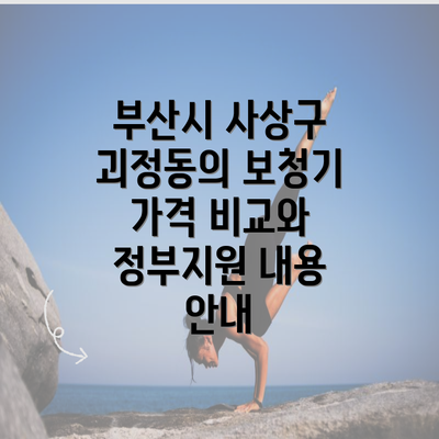 부산시 사상구 괴정동의 보청기 가격 비교와 정부지원 내용 안내