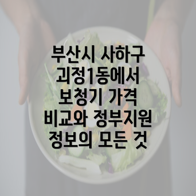 부산시 사하구 괴정1동에서 보청기 가격 비교와 정부지원 정보의 모든 것