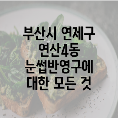 부산시 연제구 연산4동 눈썹반영구에 대한 모든 것