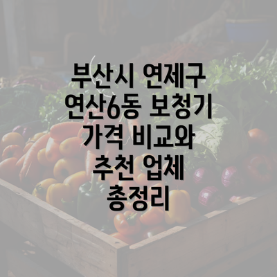 부산시 연제구 연산6동 보청기 가격 비교와 추천 업체 총정리