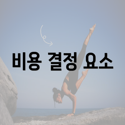 비용 결정 요소