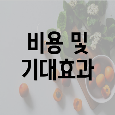 비용 및 기대효과