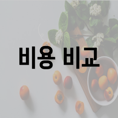 비용 비교