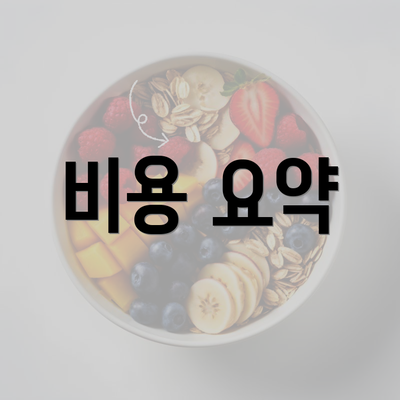 비용 요약