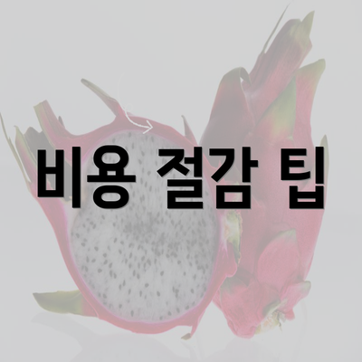 비용 절감 팁