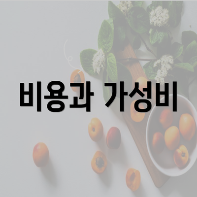 비용과 가성비