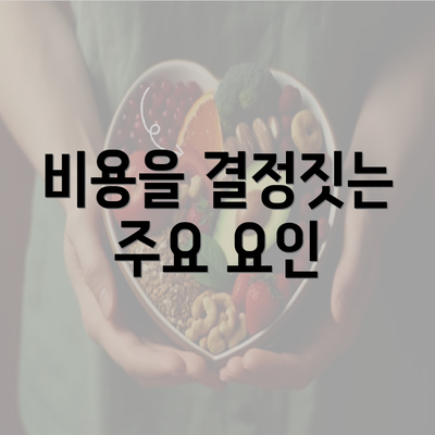 비용을 결정짓는 주요 요인