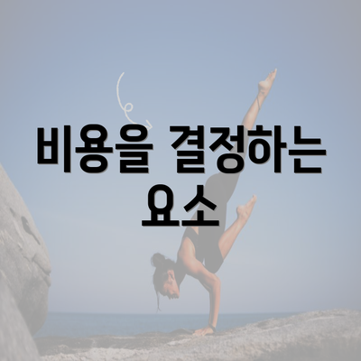 비용을 결정하는 요소