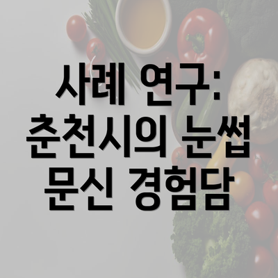 사례 연구: 춘천시의 눈썹 문신 경험담