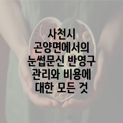 사천시 곤양면에서의 눈썹문신 반영구 관리와 비용에 대한 모든 것