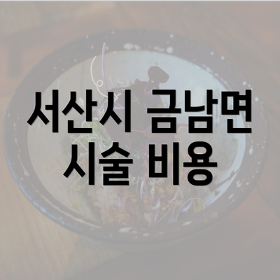 서산시 금남면 시술 비용