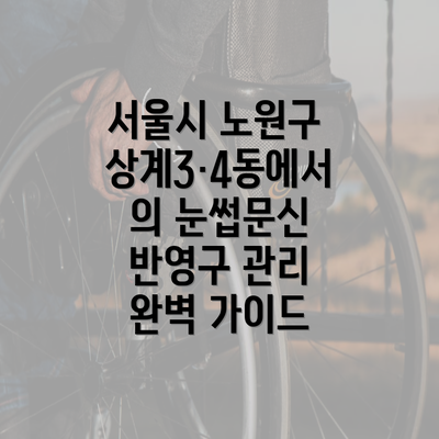 서울시 노원구 상계3·4동에서의 눈썹문신 반영구 관리 완벽 가이드