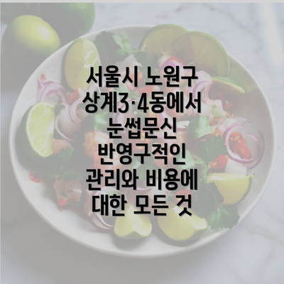 서울시 노원구 상계3·4동에서 눈썹문신 반영구적인 관리와 비용에 대한 모든 것