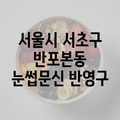 서울시 서초구 반포본동 눈썹문신 반영구