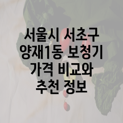 서울시 서초구 양재1동 보청기 가격 비교와 추천 정보