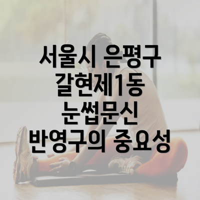 서울시 은평구 갈현제1동 눈썹문신 반영구의 중요성