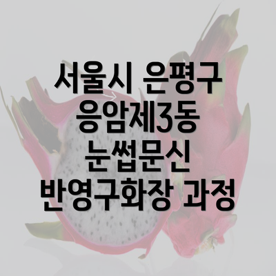 서울시 은평구 응암제3동 눈썹문신 반영구화장 과정