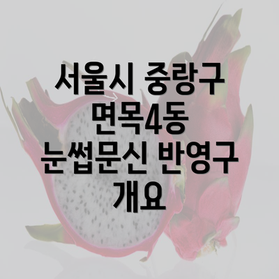 서울시 중랑구 면목4동 눈썹문신 반영구 개요