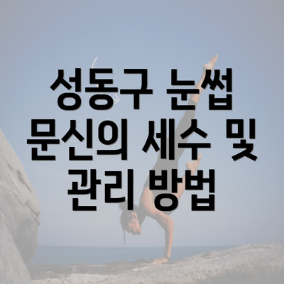 성동구 눈썹 문신의 세수 및 관리 방법