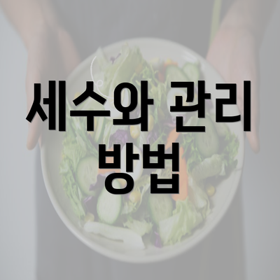 세수와 관리 방법