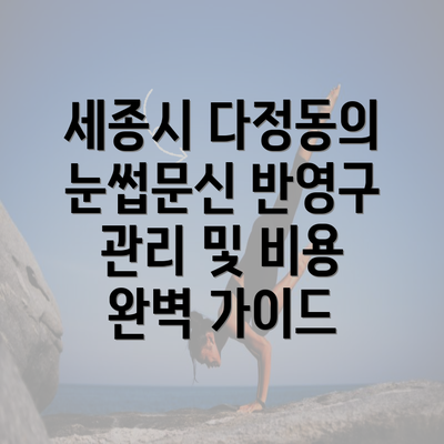 세종시 다정동의 눈썹문신 반영구 관리 및 비용 완벽 가이드