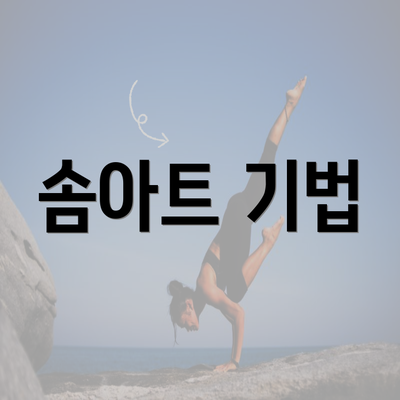 솜아트 기법