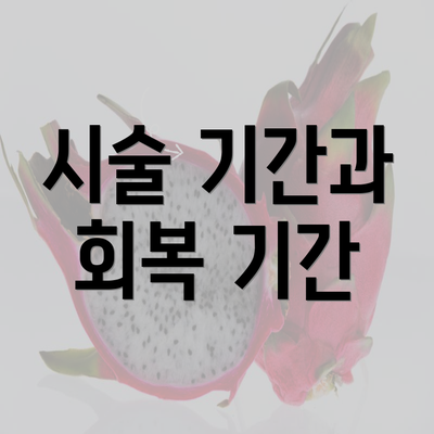 시술 기간과 회복 기간