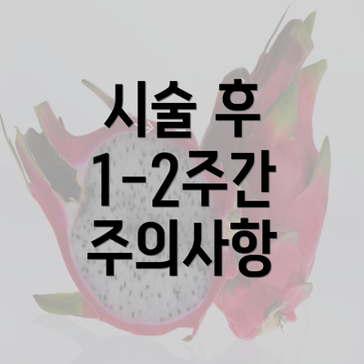 시술 후 1-2주간 주의사항