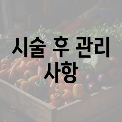 시술 후 관리 사항