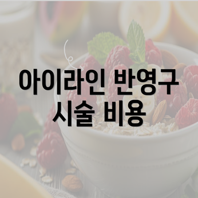 아이라인 반영구 시술 비용