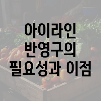 아이라인 반영구의 필요성과 이점