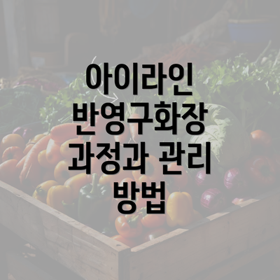 아이라인 반영구화장 과정과 관리 방법