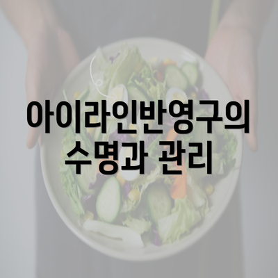 아이라인반영구의 수명과 관리