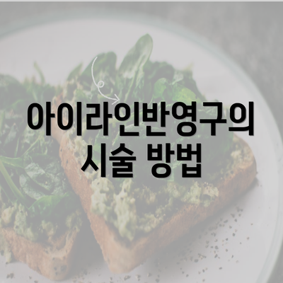 아이라인반영구의 시술 방법