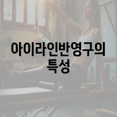 아이라인반영구의 특성