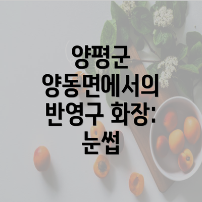 양평군 양동면에서의 반영구 화장: 눈썹