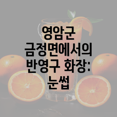 영암군 금정면에서의 반영구 화장: 눈썹