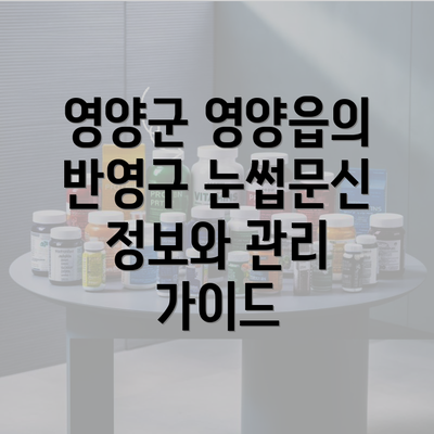 영양군 영양읍의 반영구 눈썹문신 정보와 관리 가이드