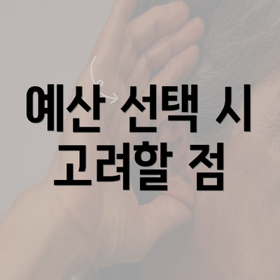 예산 선택 시 고려할 점