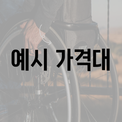 예시 가격대