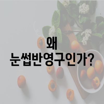 왜 눈썹반영구인가?