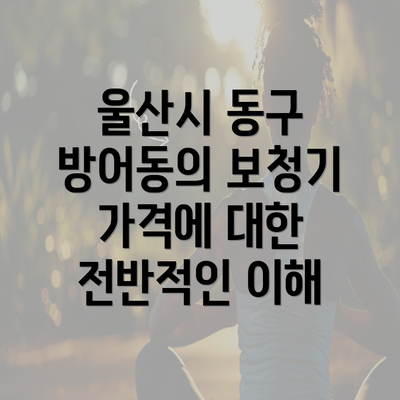 울산시 동구 방어동의 보청기 가격에 대한 전반적인 이해