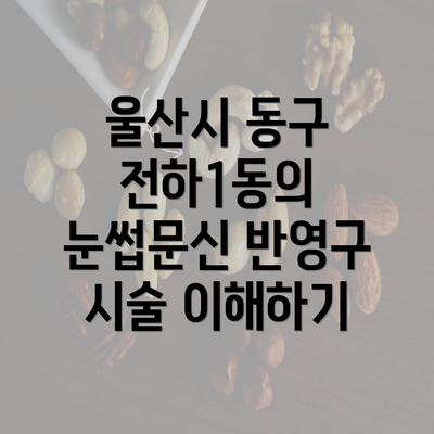 울산시 동구 전하1동의 눈썹문신 반영구 시술 이해하기