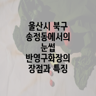 울산시 북구 송정동에서의 눈썹 반영구화장의 장점과 특징